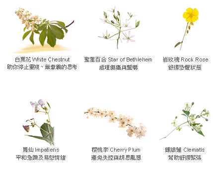 bach-sleep-flowers
